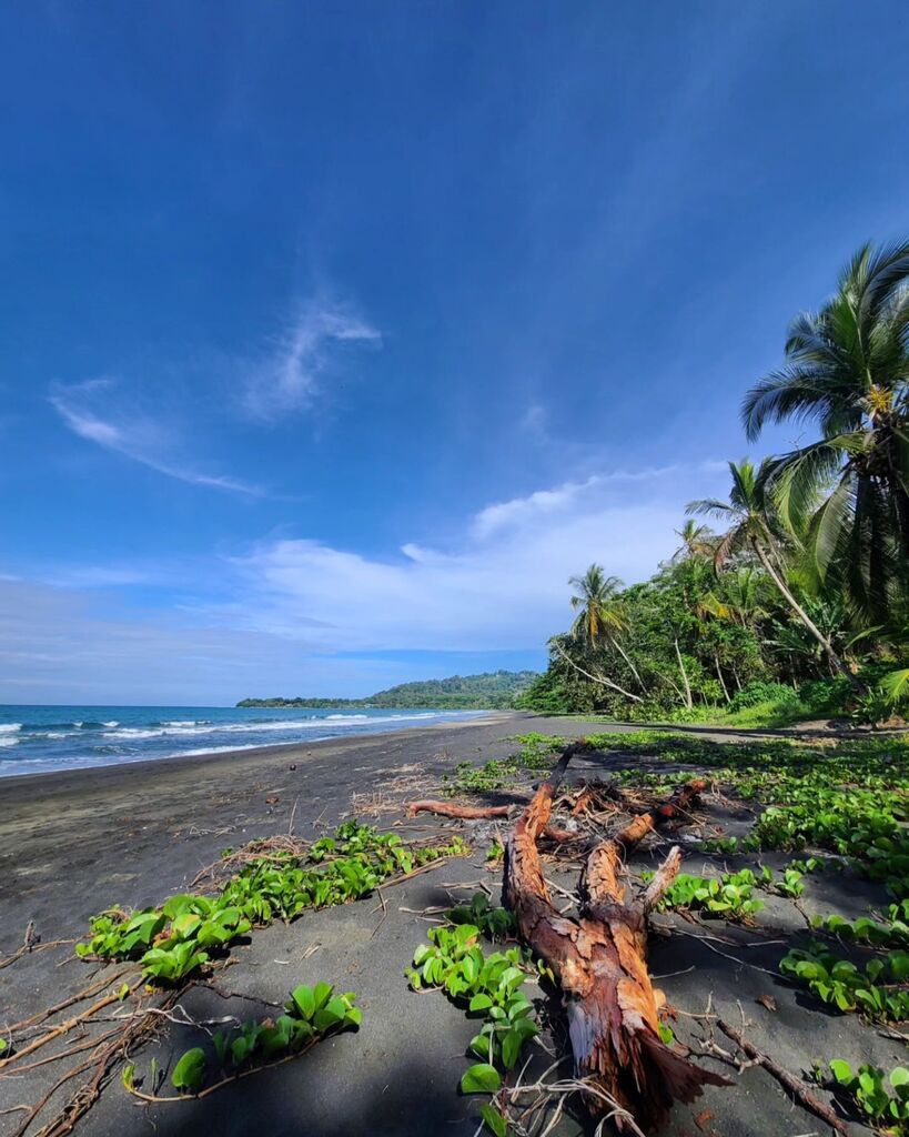 ruggedpassport's tweet photo. Pura vida in Puerto Viejo, Costa Rica 🇨🇷 🌴 https://t.co/D49VQtRf6l https://t.co/1pD0EwrCx1