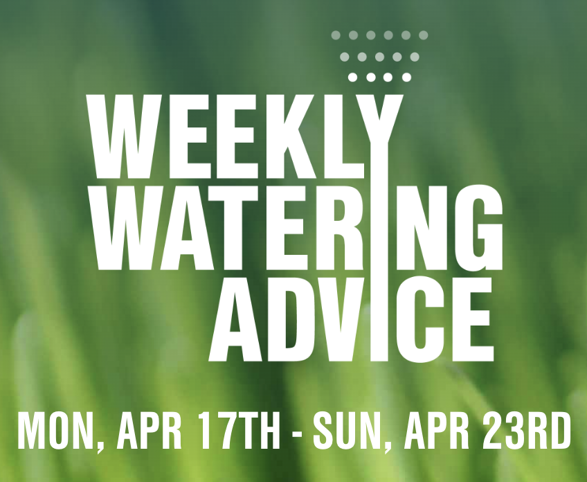 Lee_Since1971's tweet photo. This week's recommended watering amount: 0.25"

This week will be warm and windy; try to use the cycle and soak method if possible! Stayed tuned for details on watering your lawn when it is windy. 

For more info: https://t.co/Bk4keUOufV https://t.co/VceLtLxCPC