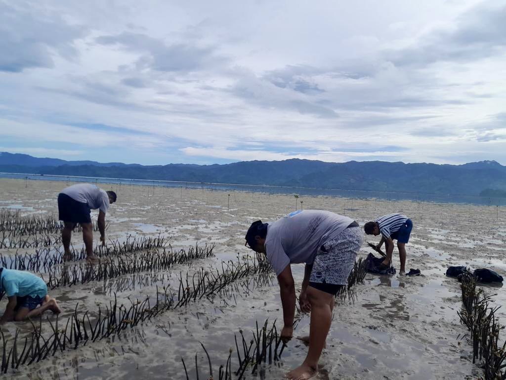 nawi_island's tweet photo. Protecting our planet one step at a time! 🌍🌊 Nalase Church Youth Group from Yaroi Village making a difference by cleaning up the beach and planting mangroves. Together, we can create a cleaner and healthier environment for generations to come. 👏🌿#EnvironmentalAction https://t.co/cKImT76SdI