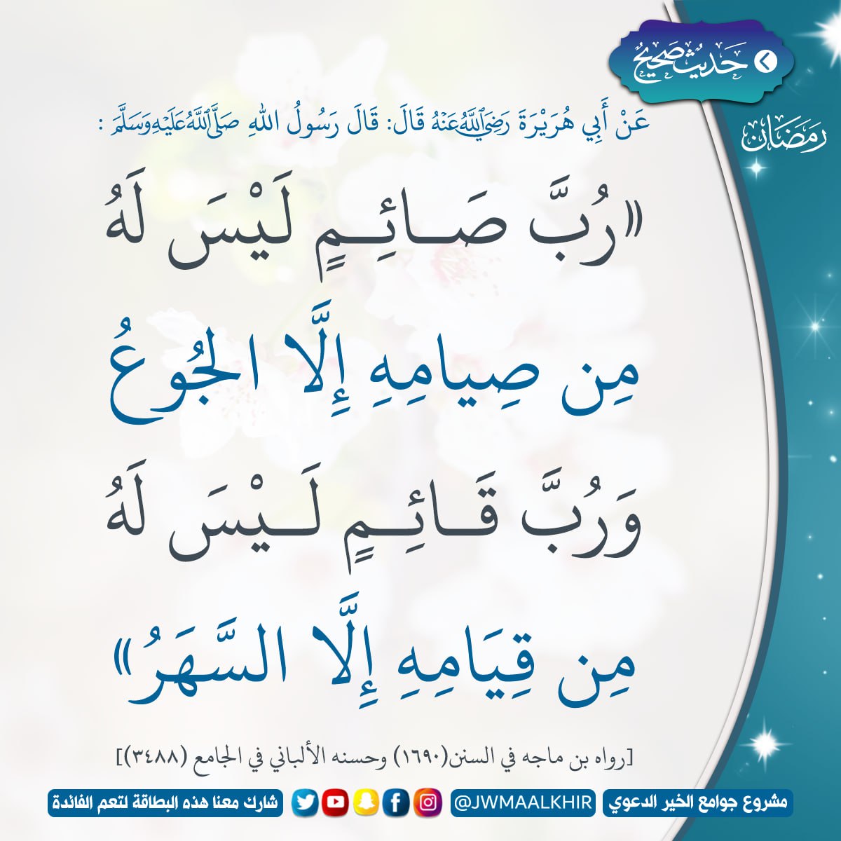 دومانير tweet media