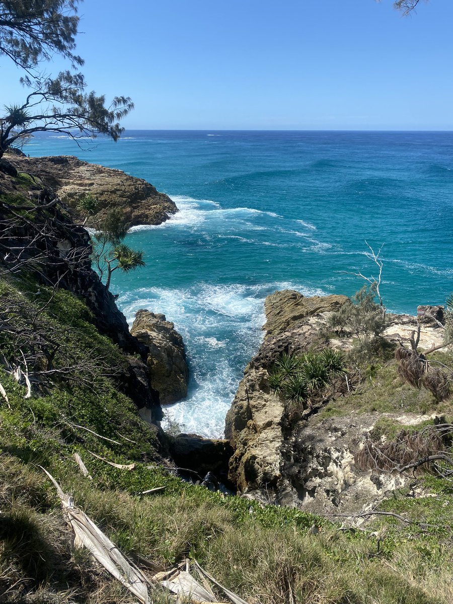 Hey_Sim_One's tweet photo. I'm asking those who love the outdoors to post a picture. A picture that YOU took. Just a pic.
No description. The goal is to regain peace and harmony without negativity. Please copy the text, put a picture on YOUR page, and let's look at these beautiful pictures. Here's mine… https://t.co/oPeN4wAhUH