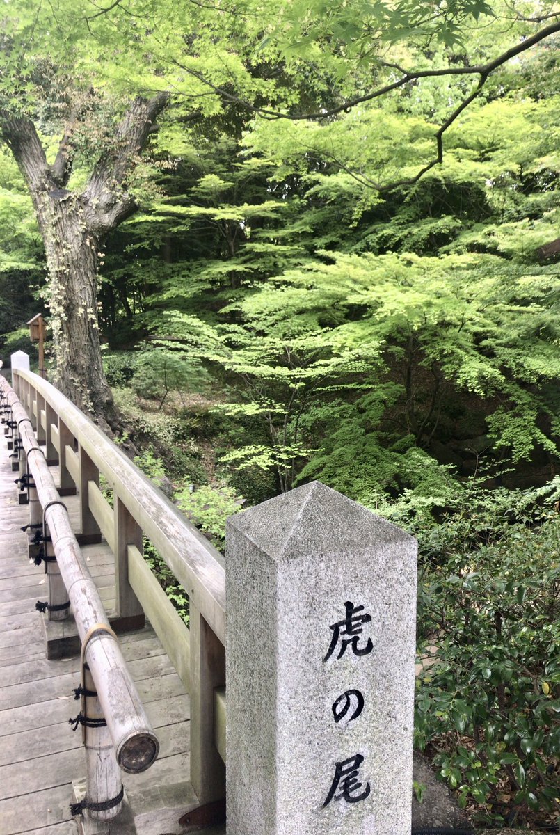 antoh16's tweet photo. …を
踏む https://t.co/YdoXWvojeE