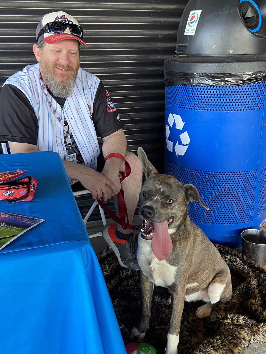 Woodstock is out at <a href="/trashpandas/">Rocket City Trash Pandas</a> looking for his FURever home ⚾️⚾️⚾️

#BaseBall #Adoptable
