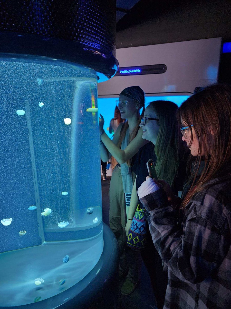 LHU_Biology's tweet photo. Road trip, biology club style!! We visited the National aquarium in Baltimore on Sunday! Its a beautiful and awe-inspiring world!! Wish you came, right? Thanks for driving use Dr. Spooner. https://t.co/eBc29blcz4