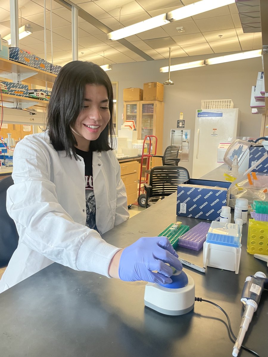 BRIDGES NRT (@uazbridges) on Twitter photo Trainee Tuesday! Adalee, advised by Albert BarbarƔn, studies the correlation between soil micronutrients and microbial communities along elevational gradients. Here, she stops to train a grad student (not pictured) on the process of DNA extraction from soil samples. <a href="/uarizonaenvs/">UArizona Environmental Science</a> Trainee Tuesday! Adalee, advised by Albert BarbarƔn, studies the correlation between soil micronutrients and microbial communities along elevational gradients. Here, she stops to train a grad student (not pictured) on the process of DNA extraction from soil samples. <a href="/uarizonaenvs/">UArizona Environmental Science</a>