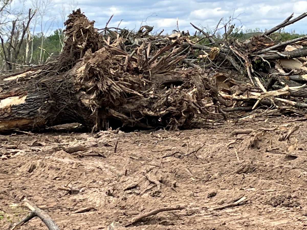jdimig's tweet photo. Little Rock is still dealing with the aftermath of the tornado - AR river bike trail still closed in spots- bike ride this weekend provided unique perspective of the destruction https://t.co/26R0harpEa