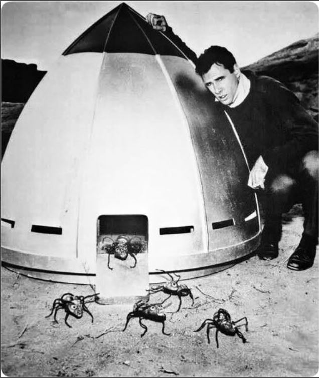 🕷️A young Bruce Der, in the original Outer Limits episode, 'The Zanti Misfits!'🕷️#TheOuterLimits #BruceDern #TheZantilMisfits #ClassicScifi #Scifi