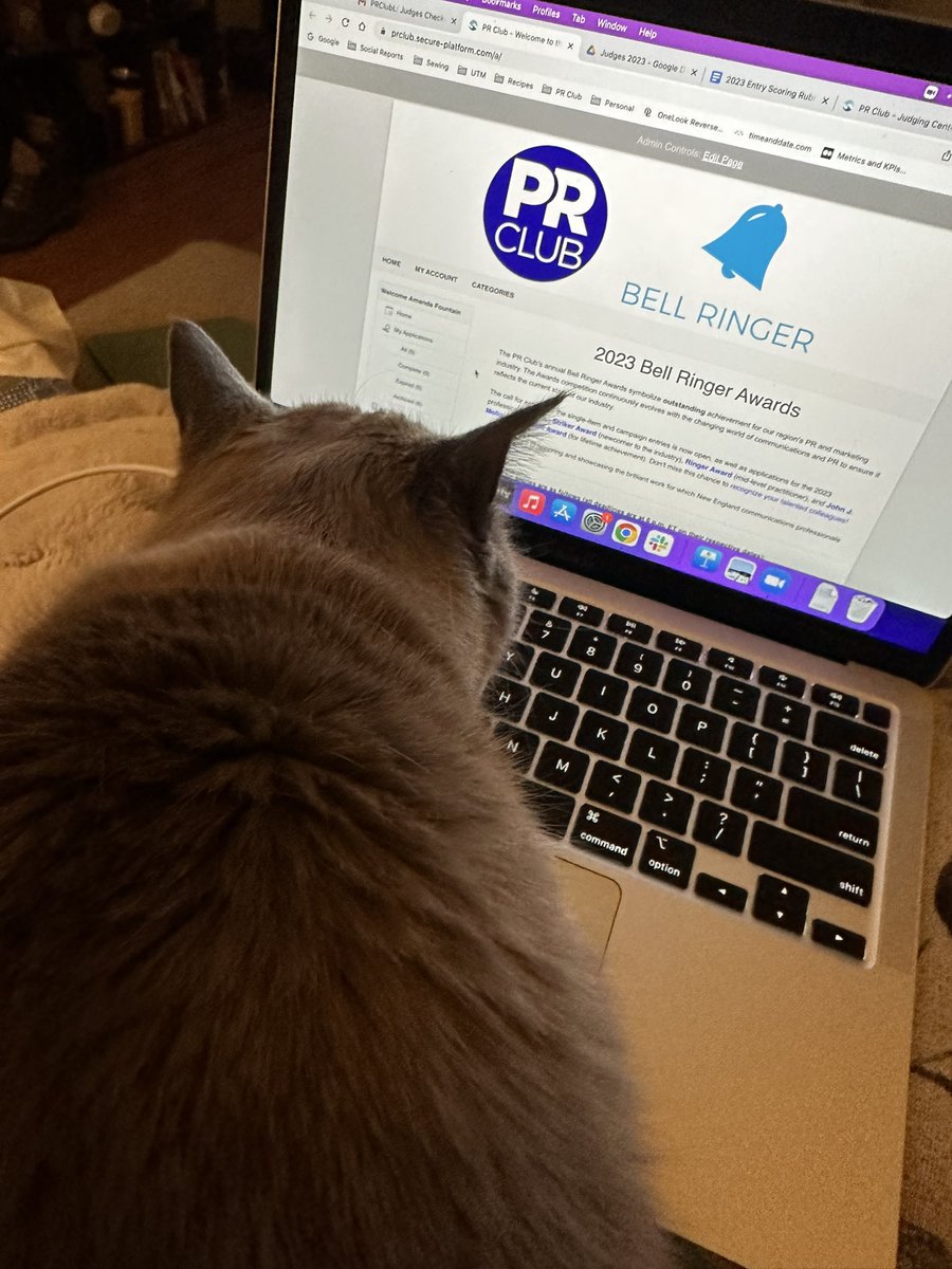 Amanda Fountain tweet media