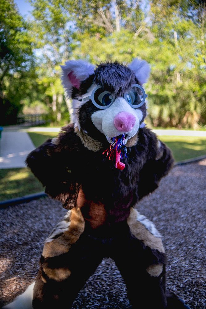 TheFerretFinley's tweet photo. Oh heck ok. But don’t even think about tickling me >:c https://t.co/Hv3j8oLuTH