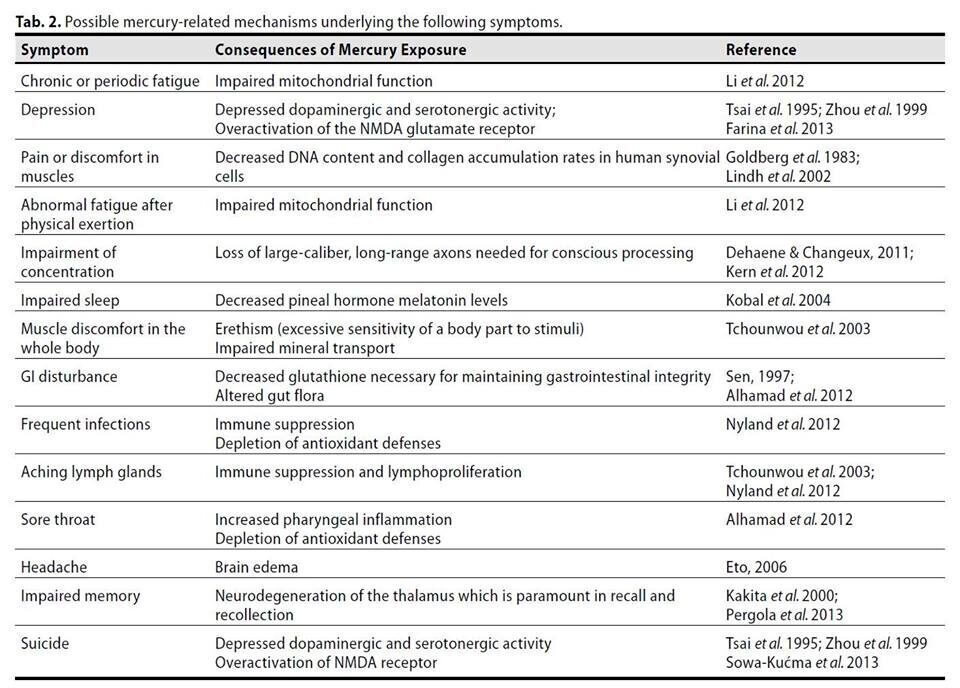 Safe_HG_Removal's tweet photo. #Mercury from #dental #amalgams: exposure &amp; effects.
There's no doubt that dental mercury should be taken into consideration as a possible etiological factor when considering #neurological, #immunological &amp; #endocrinological diseases of unknown #etiology
https://t.co/9RYcIxXfna https://t.co/eh4AXXev7g