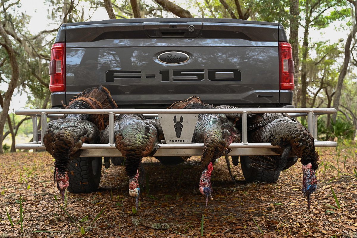 FLOutdoorEx's tweet photo. Our management program is a core reason why turkey hunting on our properties is truly world class.

Ph: Capt. Brian Sawyer
#hunting #turkeyhunting #turkeyhunt #truewildflorida https://t.co/xbfSXmonoh