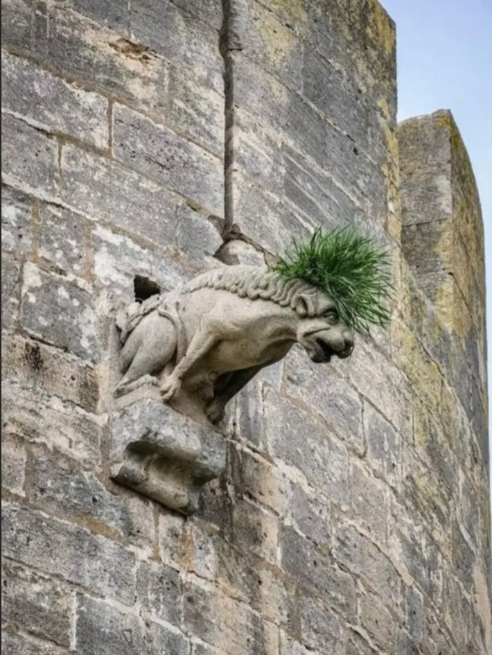 TOUPEE OR NOT TOUPEE-A charmingly hirsuite gargoyle recently spotted upon the ramparts of Arundel castle.

Who said Punk was dead??