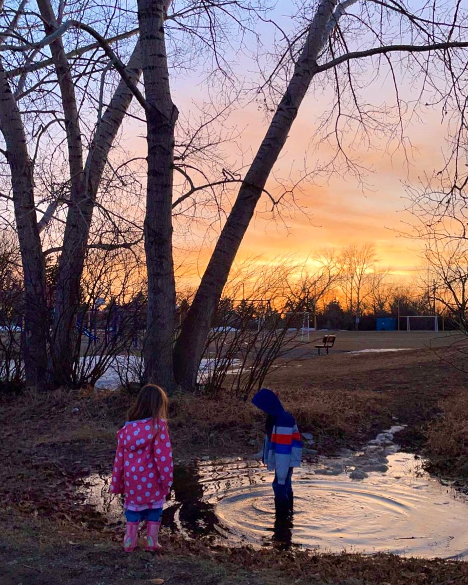 DayleCC's tweet photo. Puddle jumping 🌷🐙
.
.
#spring #springtime #april #puddle #countrylife https://t.co/pFT0xkFjXE
