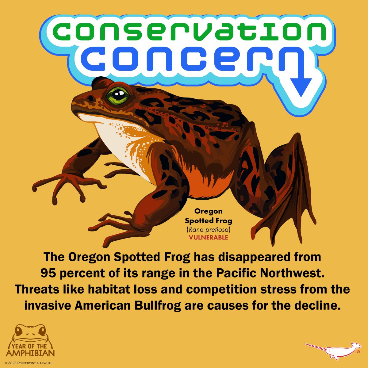 PepomintNarwhal's tweet photo. #ConservationConcern #OregonSpottedFrog
#NationalFrogMonth #YearOfTheAmphibian
Shop the #PeppermintNarwhal store:
https://t.co/bQXxNGcc9b
#FrogMonth #YOTA https://t.co/qDLh2krRWN