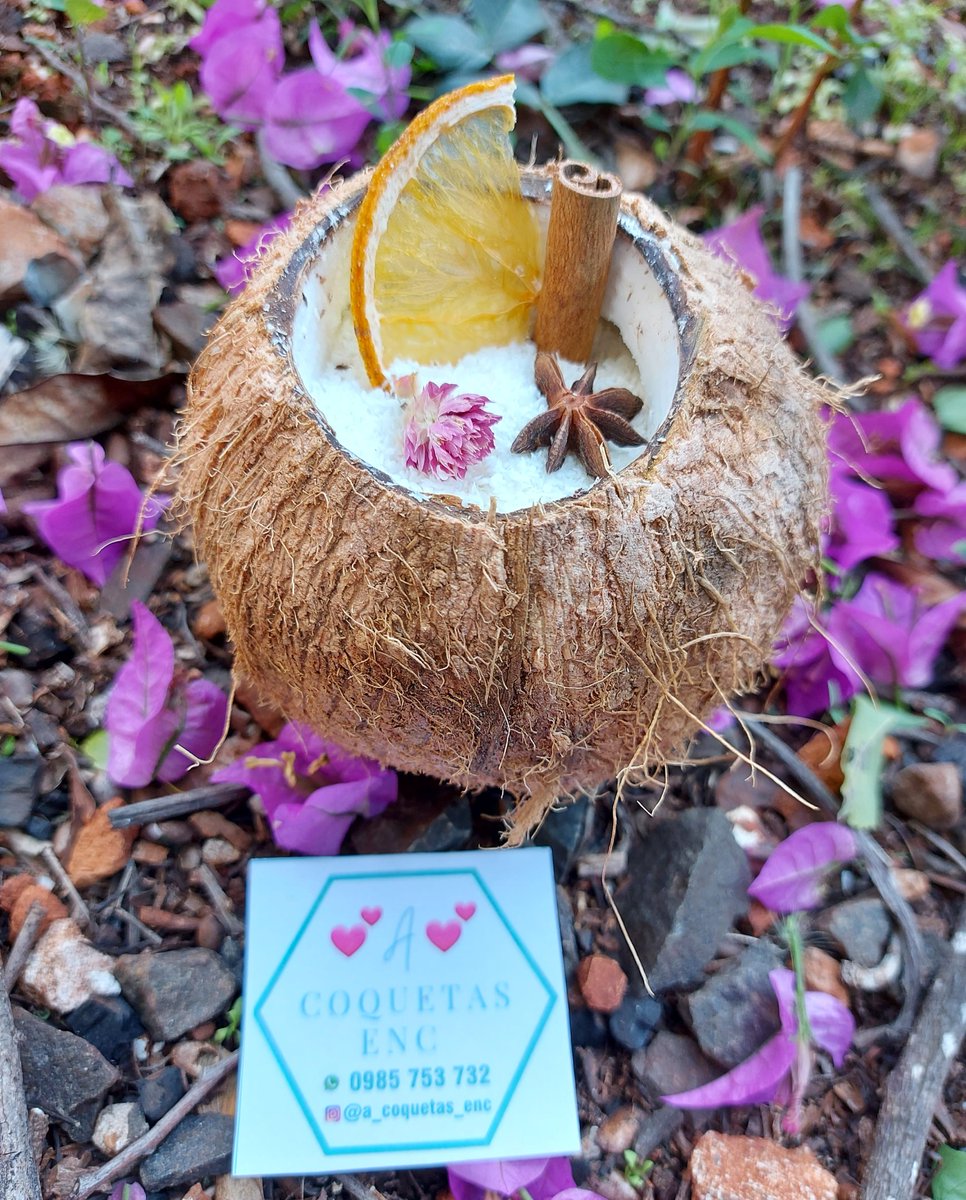 andre_la_ru's tweet photo. Mates de coco
Mates de pomelo
Mix de yuyos
Potes con divisorias de yuyos
Instagram : @a_coquetas_enc
Pedidos al 0985 753732 https://t.co/zN9bgHaQS5