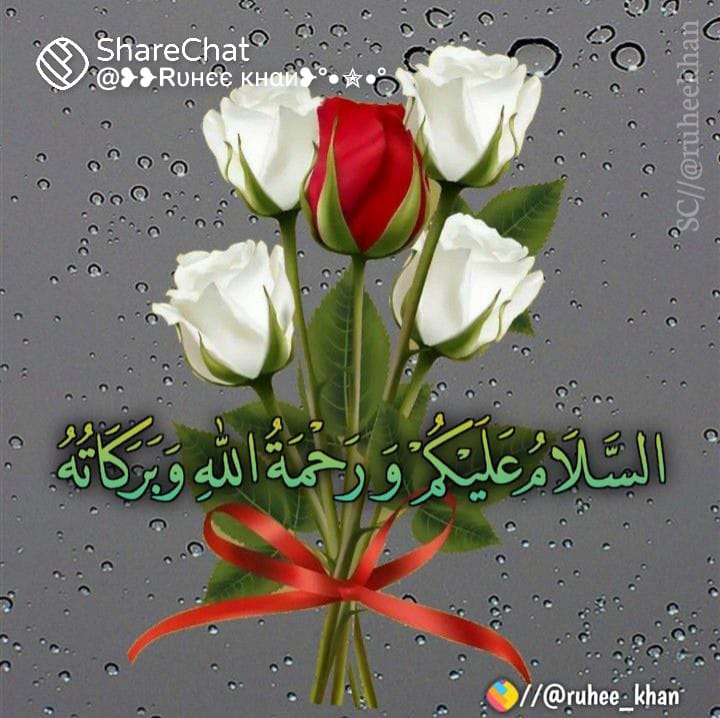 اسلام علیکم
