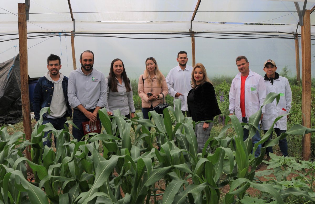 UISsedeMalaga's tweet photo. Participamos con @CRCSantander, @CCBucaramanga y representantes de diferentes entidades publicas y privadas, en la discusión de proyectos estratégicos en dos frentes específicos: Agro y turismo.
Una jornada que culminó con visita a los laboratorios de la @UIS  @UISsedeMalaga https://t.co/hfl9lI2B0i