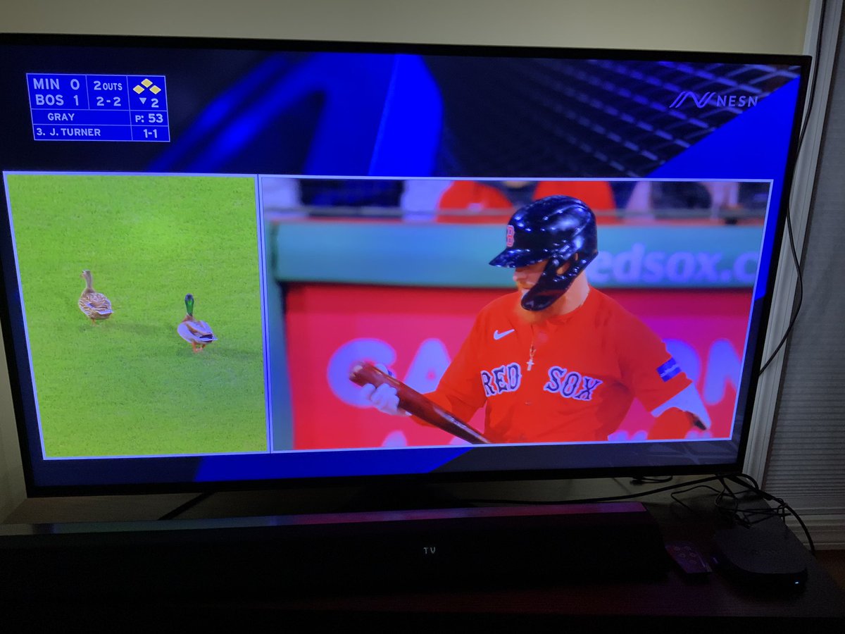 sealexander's tweet photo. I’ve seen Angels In The Outfield many times, but is this a preview for Ducks In The Outfield at Fenway? https://t.co/tDOjq0ckSE