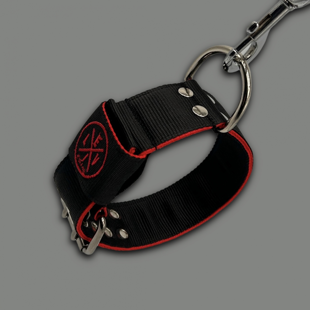 EvilCollar's tweet photo. Il #collare mod #pitbull 4 e 5cm di larghezza è disponibile in 15 colori. I nostri #collari sono facilmente lavabili a 40°, assicurando al tuo amico un aspetto sempre impeccabile! Non rischiare la sicurezza del tuo #cane https://t.co/xsW2ocwrOy https://t.co/RsnK9SYcIp