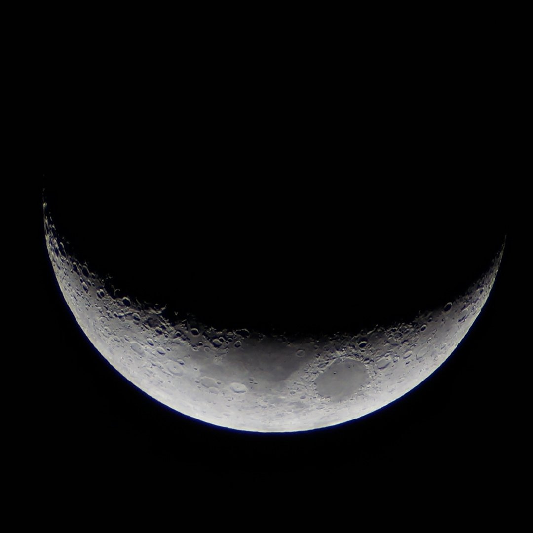 RPHS Science tweet media