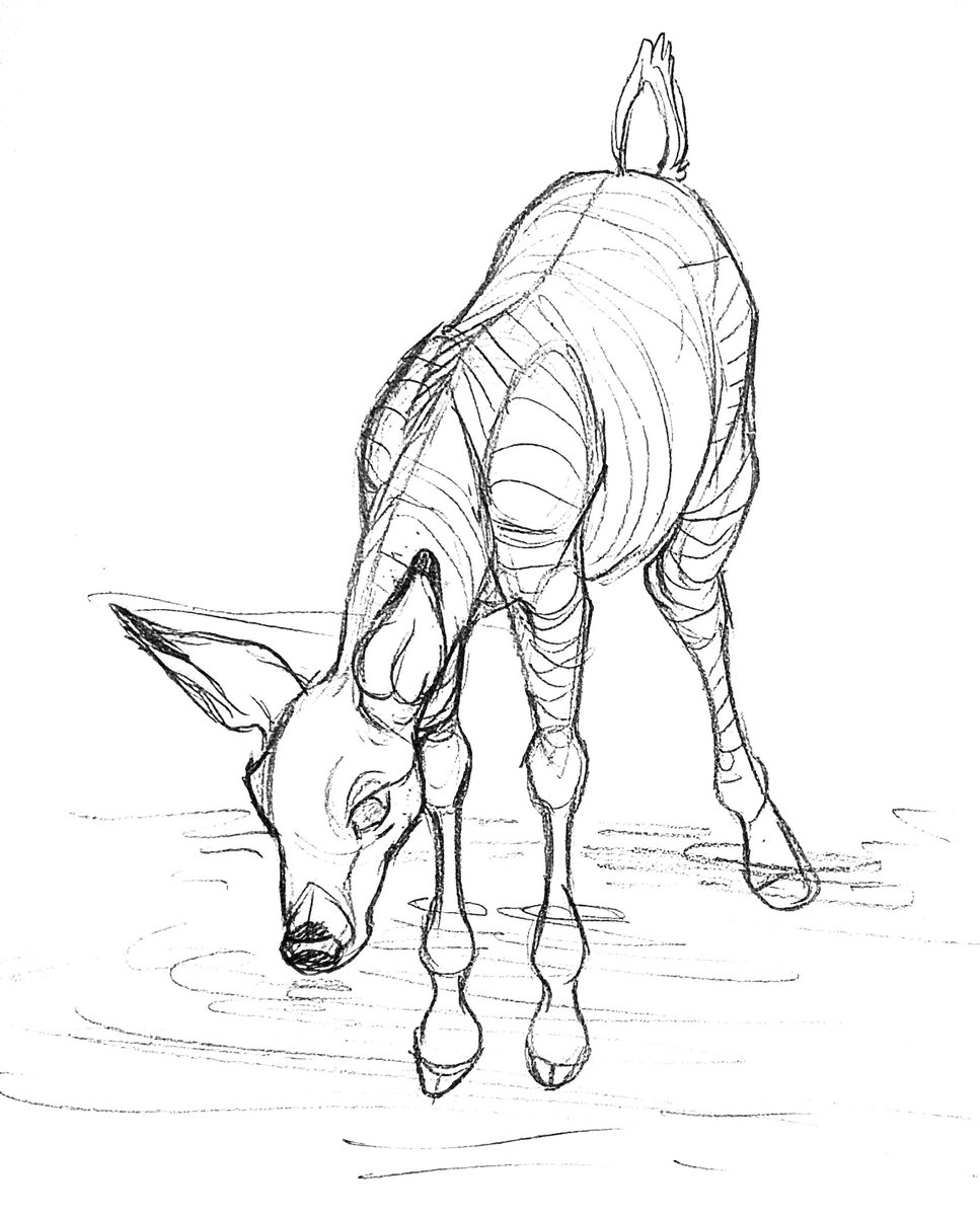 lottie 🍂 tweet media