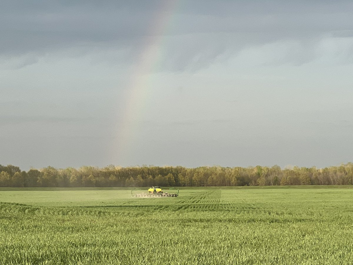 #Plant2023 #keepitcovered
