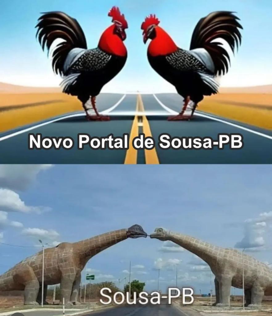 sofolescg's tweet photo. @RodenbuschNeto A entrada literalmente mudou ao invés de 2 calangos agora é  2 Gloriosos Galo da Borborema 🖤 https://t.co/s4SIzKPVL6
