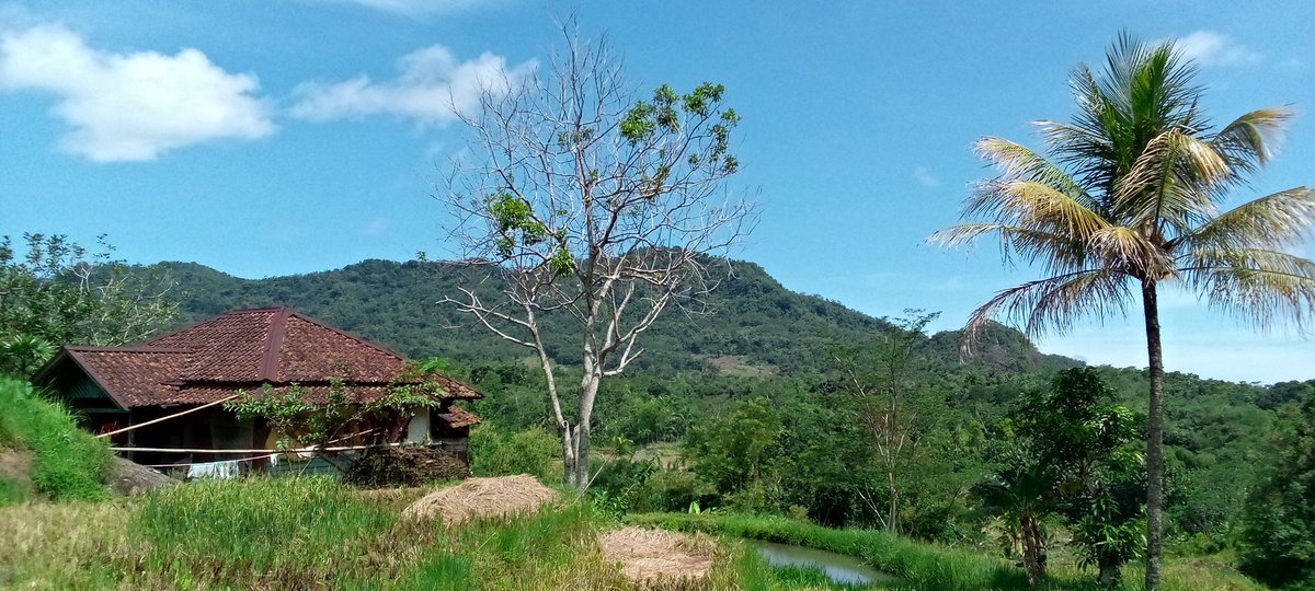 a_r_sy_hdytllh's tweet image. Pesona keindahan alam Darul Amir &amp;amp; Saunggudang dan sekitarnya, Garut 44174.

Facebook :
Asep Rohendi Syabani Hidayatullah