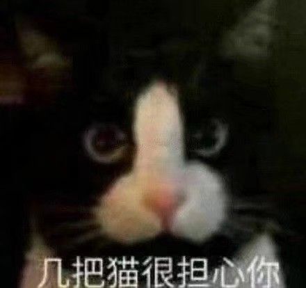 SenyukiSnow's tweet photo. @Bilibili_Rei https://t.co/Fwh382WvzS