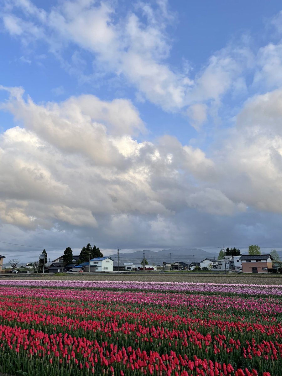 Pro_inno_239's tweet photo. おはようございます！

今日の #浜黒崎 は⛅️です。
社員からキレいな風景写真をもらいましたぁ
ヽ(^。^)ノ

本日もよろしくお願いいたします！！

#企業公式が毎朝地元の天気を言いあう 
#富山Twitter会
#イマソラ 
#企業相互フォロー 
#チューリップ 
#海 https://t.co/zJLF2gafyl