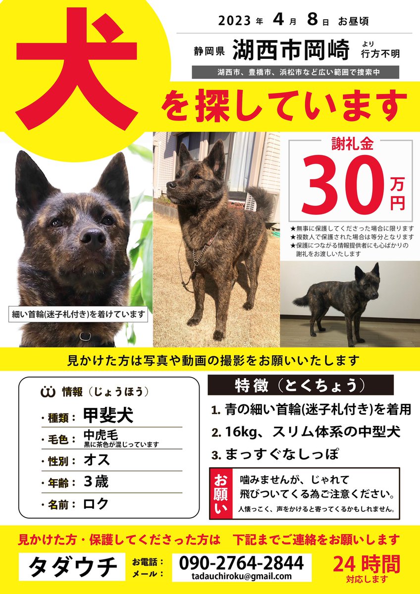 roku_maigo tweet picture