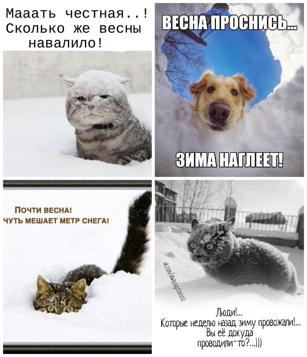 LaneStrannik's tweet photo. Когда весна придёт→не знаю...
и был апрель, мели снега💨❄️🙃❄️💨🥶❄️💨
When spring comes? I don't know...
the snow continued to fall #nature #springTime #весна2023 #Snowfall
#AprilInSiberia❄️ #SpringSnowfall #NatureIsJoking👀#snow #trees
#NaturesJokes #naturelovers
#spring2023❄️ https://t.co/ql5YbeAQFU