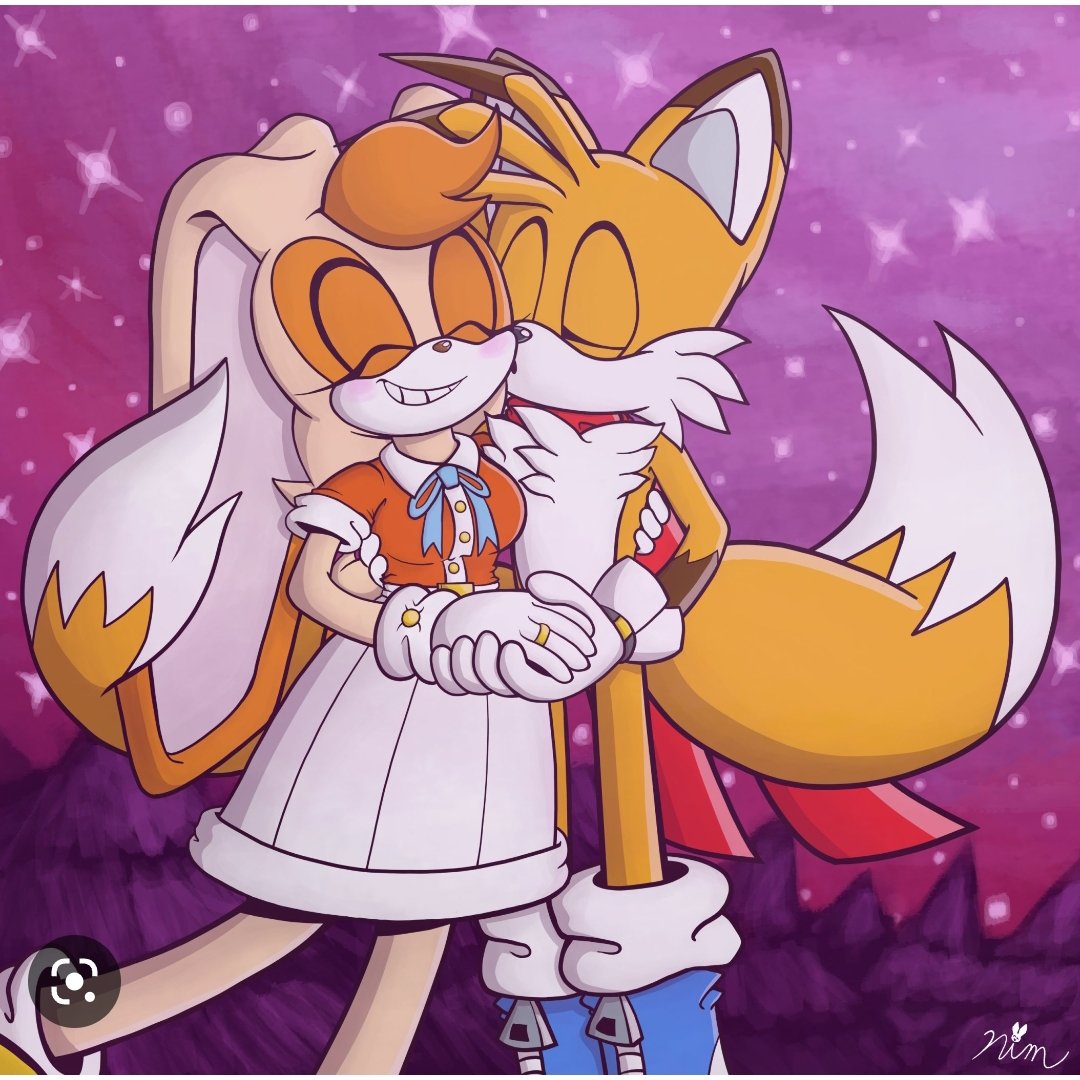 Pedrocas221's tweet photo. Okay final tweet before going to bed, put me your Four favorite ships and i will give my opinion about them, i will also let you guys give your opinion about my favorite Four ships, so here you go! #Nuzi #RougexKnuckles #Sonamy #CreamxTails https://t.co/gTyxWLumqi
