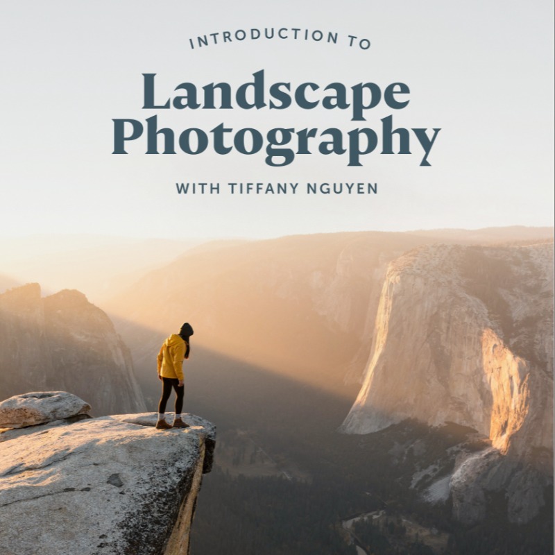 moment's tweet photo. Want to take better photos? Learn from 50+ of the world's most talented photographers