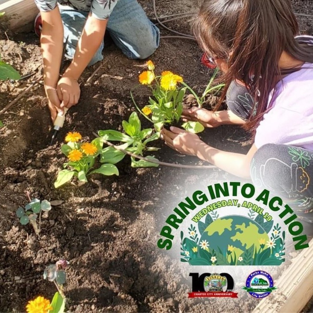 Visit Visalia tweet media