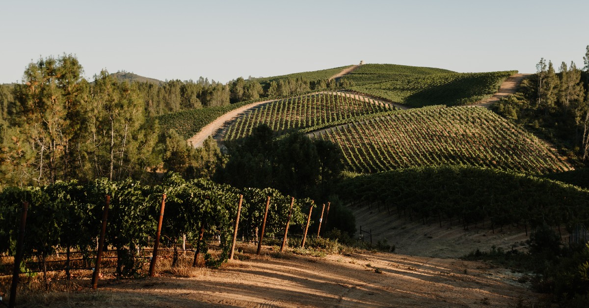 There's nothing quite like the jaw-dropping beauty of Pine Mountain.