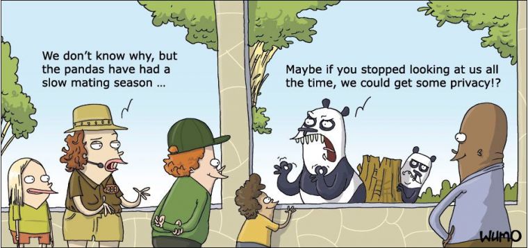 Wumo Comic tweet media