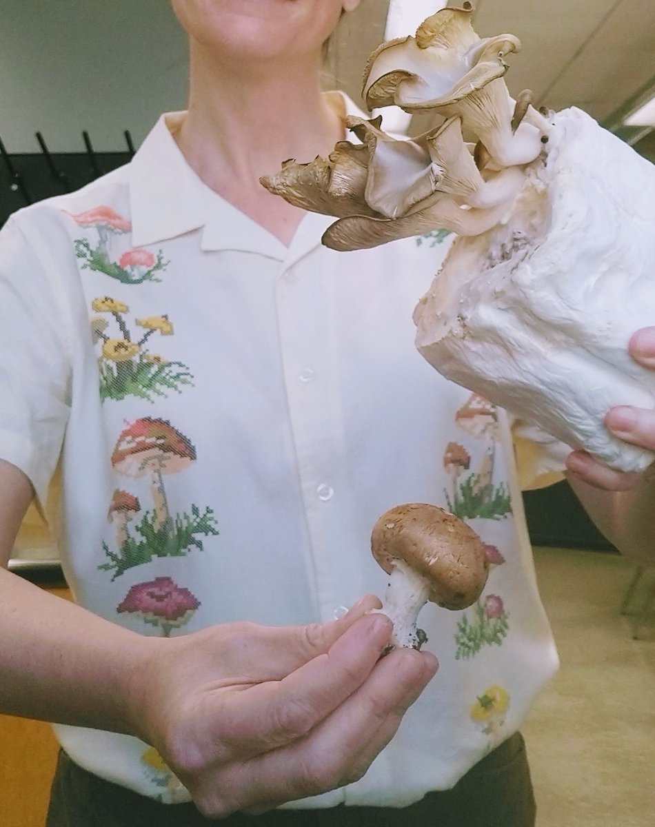 Tierney Brosius, PhD tweet media