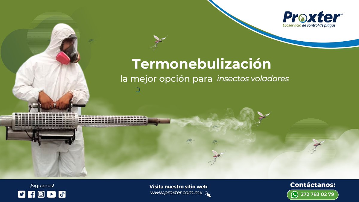 Proxter01's tweet photo. La termonebulización es la solución perfecta para combatir los insectos voladores. Este método alcanza hasta los lugares más difíciles, eliminando mosquitos, moscas y otros insectos voladores de manera efectiva.

📲 Cotiza tu servicio al: 272 783 0279
#plagas #fumigacion #proxter https://t.co/QquNo9KGtp