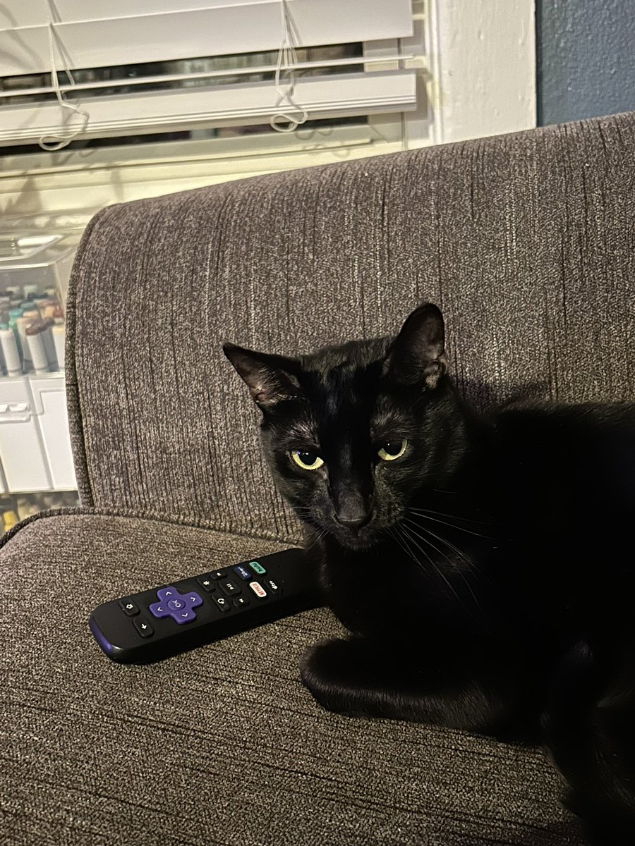 Sriracha_Cat's tweet photo. I control the TV https://t.co/Hie9A3E21B
