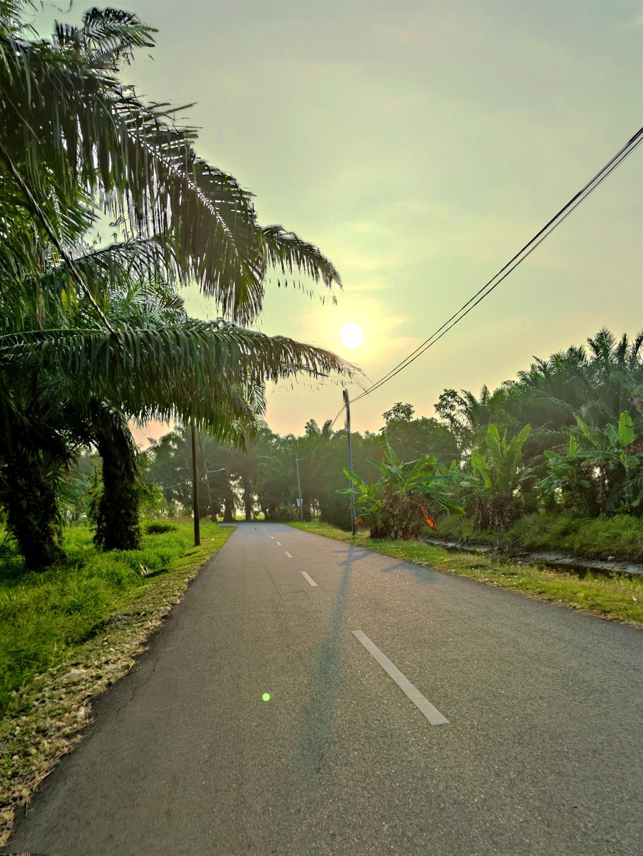 KillafAndrew's tweet image. not jogging, just walking

#random #Scenery #RedmiK30Pro