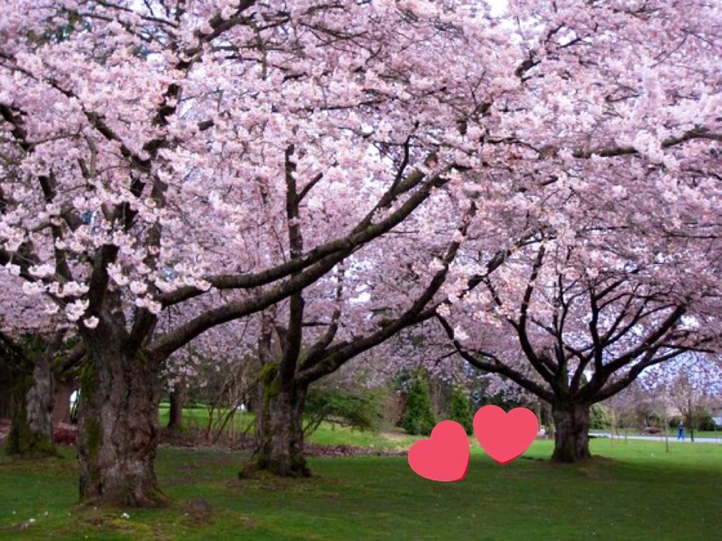 Waving from metro Vancouver 🇨🇦

Travel Inspiration via TV, Movies &amp; Books’ 

#TRLT

<a href="/FE_photograph/">Flat Earth Photograph</a> <a href="/HHLifestyleTrav/">Hannah : HH Lifestyle Travel</a> <a href="/LindaPeters64/">Linda</a> <a href="/DoroLef/">Dorothée Lefering</a> <a href="/ararewoman/">Sabine</a> <a href="/TheTravelCamel/">Shane Dallas</a> <a href="/TravelAtWill/">LDH</a> <a href="/lissysalt/">Lissy Mitchell</a> <a href="/MamaO_GO/">Mama O</a> <a href="/roadtrippingroy/">RoadtrippingRoy 💙🎸 🏴󠁧󠁢󠁳󠁣󠁴󠁿 🇫🇷 🇪🇺 🎼</a> <a href="/fotoeins/">Henry Lee</a> <a href="/FoodTravelist/">Food Travelist Sue & Diana</a> <a href="/Roadstories/">Roadstories.ca</a>