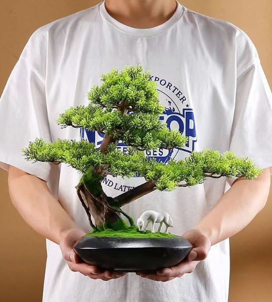 diys_all's tweet photo. Spruce up your space with Artificial Plants Bonsai Small Tree Pot Fake Plant Flowers - the hottest trend on #Aliexpress! Don't miss out on the Blog Post👇
https://t.co/x0XU926PBJ

#HotProductBuzz #HomeDecor #PlantLover #ArtificialPlants #TrendingItems https://t.co/CTXwgs9YST