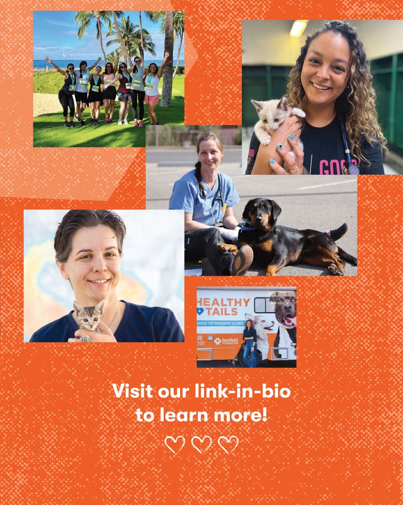 INCREDIBLE! The @BanfieldFoundation 2022 Impact Report is here and we’re so excited to help celebrate! 🙌 🎉🧡

#banfieldpethospital #banfieldlife #proudlymars #marsveterinaryheath #banfieldcareers #abetterworldforpets #banfieldfoundation #banfieldfoundationgrants