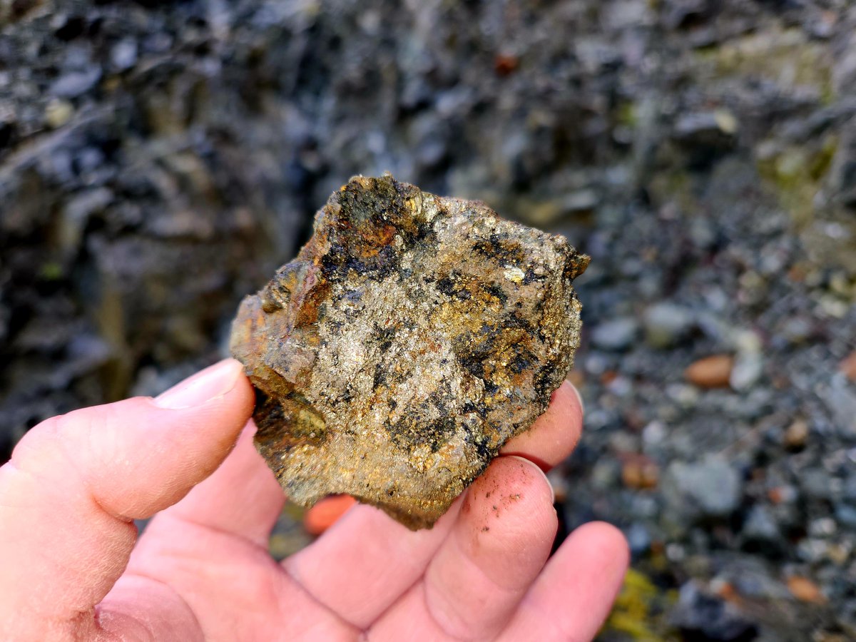 Kermode_KLM's tweet photo. Chalcopyrite, pyrite, and magnetite sample from Roberts Main Quarry at the Star of the West.
#quarry #chalcopyrite #pyrite #magnetite #gold #prospecting #mining #911mining #klm #kermode https://t.co/P28yEZSC3b