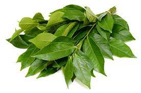 50Plushealths's tweet photo. #GreenTea, The Beverage In the Alleviated Symptoms, Reduces Risk and Treatment of Polymyalgia #Rheumatica (PMR) https://t.co/YwpAgBgZbT https://t.co/cAUcvIXP0l