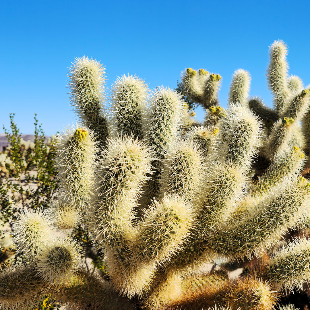 SamsungMobile's tweet photo. Epic details are never lost with 200MP High-resolution. Capture epic details around you and share with us by replying to this thread with #SharetheEpic. #GalaxyS23 Ultra

Learn more: https://t.co/gRKZn977x0