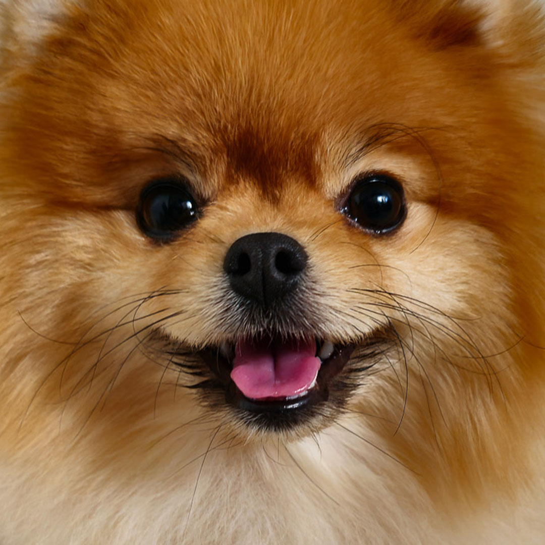 SamsungMobile's tweet photo. Epic details are never lost with 200MP High-resolution. Capture epic details around you and share with us by replying to this thread with #SharetheEpic. #GalaxyS23 Ultra

Learn more: https://t.co/gRKZn977x0