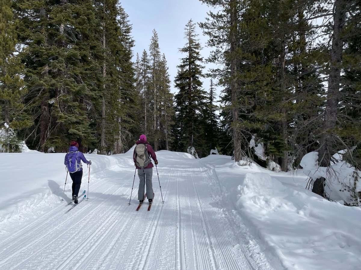 Inyo National Forest tweet media