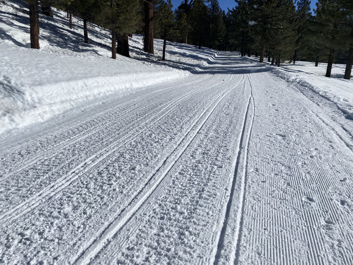 Inyo National Forest tweet media